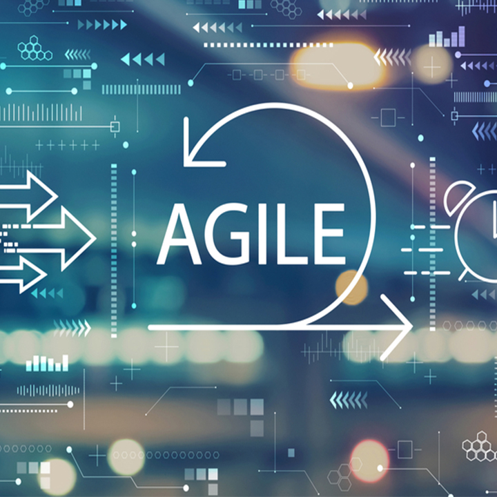 Agile Transformation in Organizations