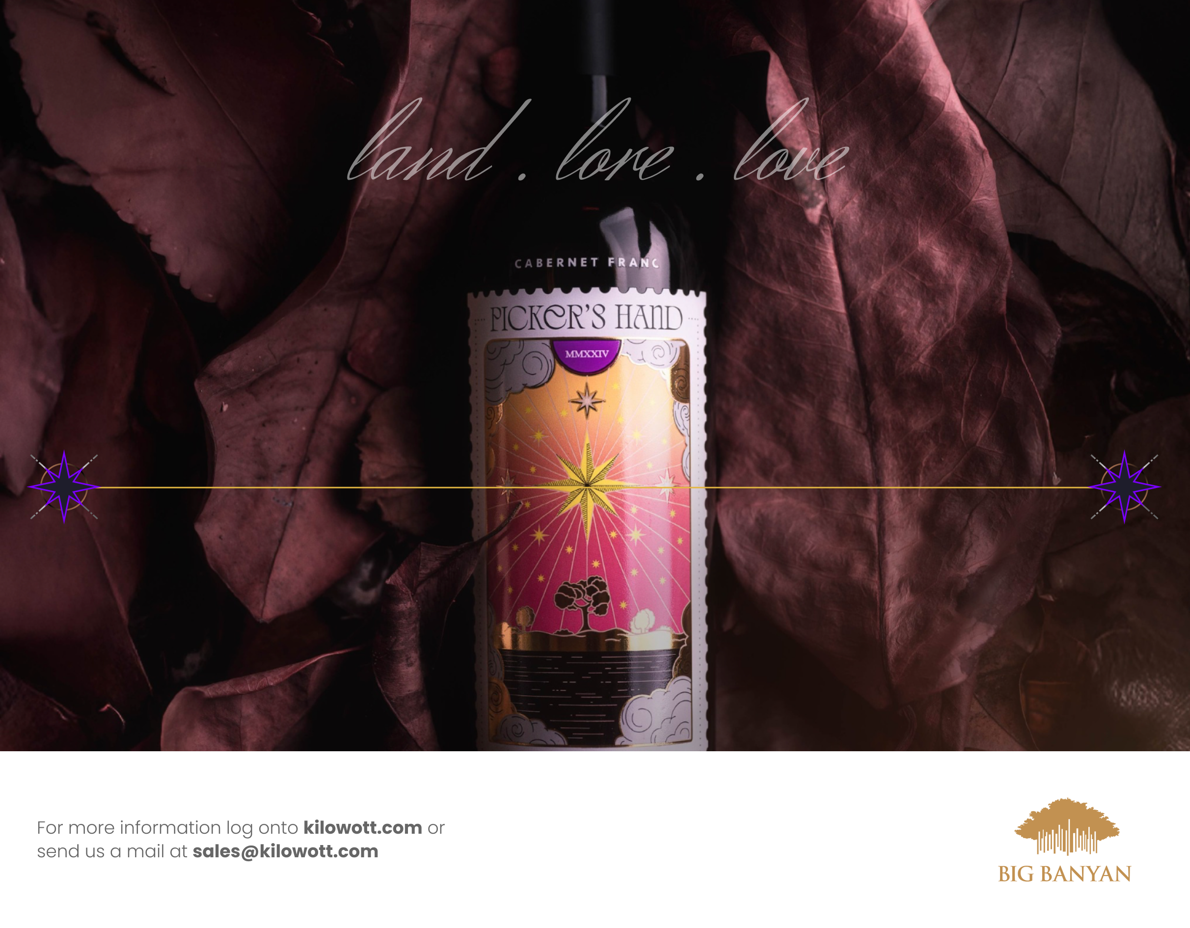 How Big Banyan Wines Achieved a ₹6L Revenue Boost Through Strategic Digital Marketing