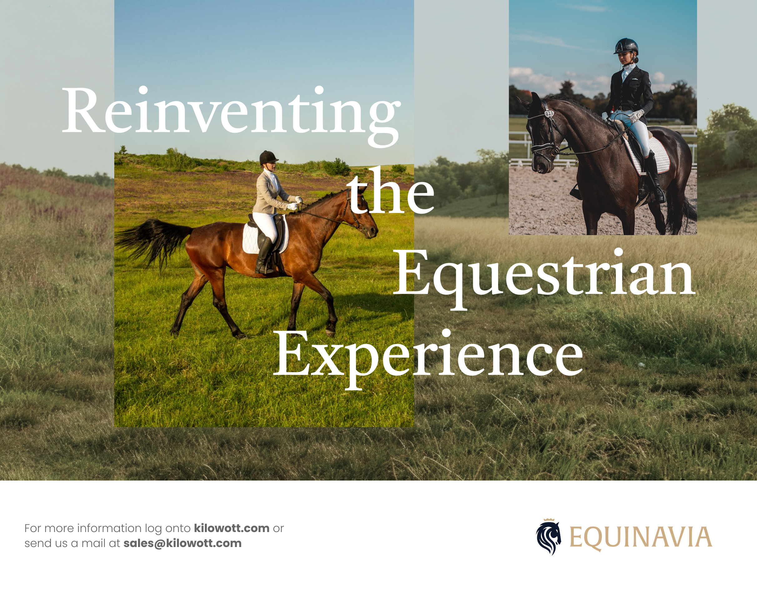 How We Transformed Equinavia’s Ecommerce to Deliver 5x ROI