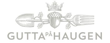 Gutta på Haugen