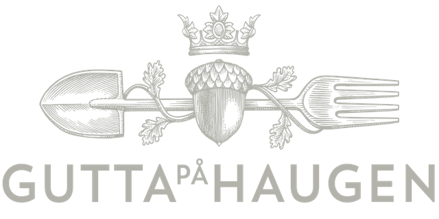Gutta på Haugen